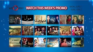 Watch All Pakistani Hit Dramas Promo - Mon-Sun (Jun 1 - Jun 7)