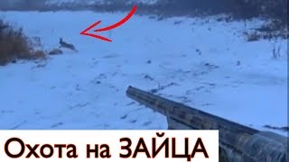 ЗИМНЯЯ ОХОТА НА ЗАЙЦА  2020 . Тоз-34 Точный Выстрел  .Hare Hunting 2020