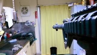 ミツバチVSエアガン Bee vs Air Rifle　PDS