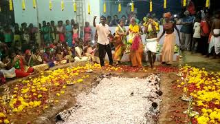 (Vaagai nadar) kovil kodai poongkuli video)