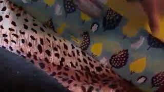 Bebi-box от Гройсмана обзор содержимого
