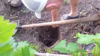 Улучшенная система для полива и подкормки винограда.