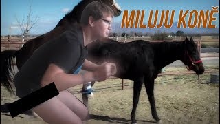 STROVEX MILUJE KONĚ? (Fanfikce o mně)