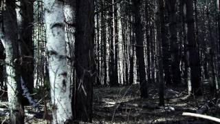 Ода Мертвым 2 (трейлер №2)\Ode to the Dead 2 (trailer №2)