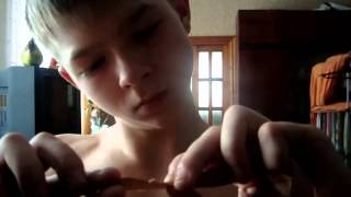 проверка о аптечных препаратах. 1 курс, 1 выпуск.webm