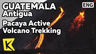 【K】Guatemala Travel-Antigua[과테말라 여행-안티구아]파카야 활화산 트레킹/Pacaya Active Volcano Trekking/Lava Explosion