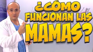 MAMAS, ¿cómo funcionan? - Cuerpo Humano #3
