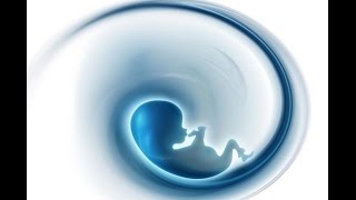 Остеопатическая биодинамика — введение в концепт эмбриональных и резонансно-ресурсных методов