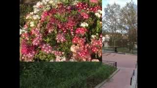 Наш город Саянск