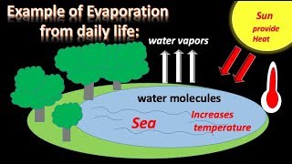 Evaporation in 1 min - Musical  Chemistry Animation | Digital kemistry - Youtube