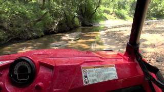Mud         Buddy's