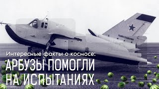 Интересные факты о космосе: арбузы помогли на испытаниях