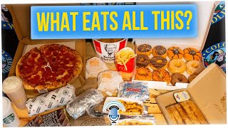 Hungry Bears Eat 20,000 Calories Per Day (ft. Bobbi Dean)