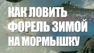 ЛОВЛЯ ФОРЕЛИ ЗИМОЙ на МОРМЫШКУ