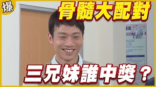 《黃金爆爆爆》黃金歲月 EP39 骨髓大配對 三兄妹誰中獎？
