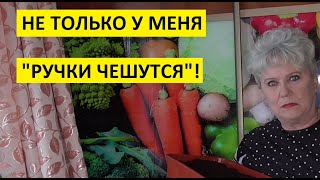 Я в шоке! Чуть не погибли мои первые посевы томатов!