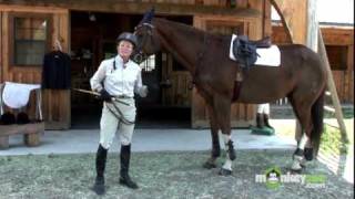 Proper Attire & Equipment for Olympic Equestrian Jumping