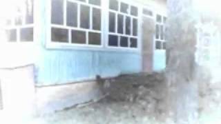 Лагерь-призрак (пионерский лагерь им. Щорса г. Унеча)