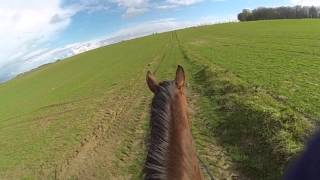 Arrêt en Cordelette, Galop plein champs, Urgence qui se termine bien :P