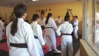 JYOSHINMON KIHON KATA KUMITE AND BUNKAI