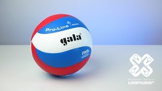 Обзор мяча GALA BV5591S PRO LINE | Teamwear.com.ua