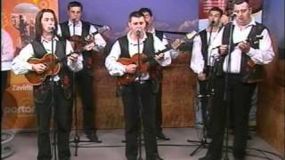 Slavonci - Slavonac sam ja