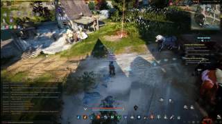 Black Desert Online Pet Special Ability - CAT - Find Resources
