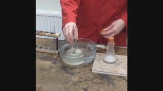 [YEAR 8] - Carbon Dioxide Test