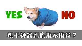 宠物用品测评-烘干（吹毛）神器到底好用吗？———短毛vs长毛（卷毛），安静狗vs活泼狗，柯基vs贵宾，Best pet dryer ever? Dryer jacket test.