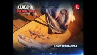 Селёдка под диоксином. Без обмана.