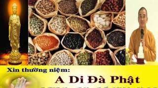 Thực Dưỡng Dưỡng Sinh Theo PHương Pháp Ohsawa, Thầy Thích Tuệ Hải P1