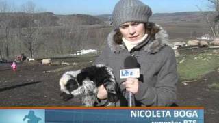 Ciobania, meserie recunoascuta