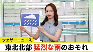 お天気キャスター解説 8月12日(金)の天気