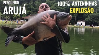 Pesqueiro Arujá - 100% Anteninha Explosão ( Los Primos #10 )