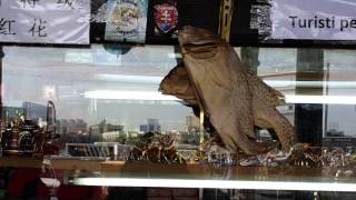 Dried Fish at Spice Souk Dubai 25.02.2016
