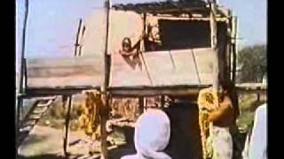 Maha Yogin Девраха Баба - интервью на ТВ