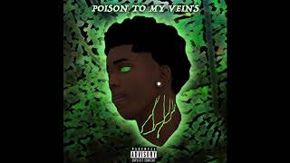 CheckChaser Kam- Poison To My Veins ( Official Audio)