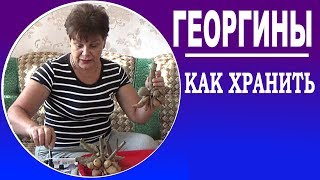 Как хранить георгины зимой  ЧАСТЬ 2  -  хранение георгин