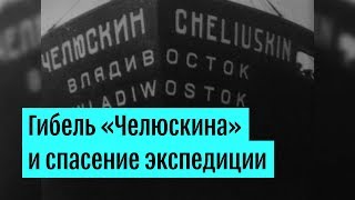 Гибель парохода "Челюскин"