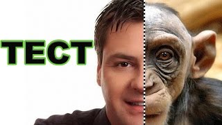 ТЕСТ НА ПРИМАТИВНОСТЬ! ПОНЯТИЕ ПРИМАТИВНОСТИ