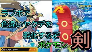 色違いのヤクデを孵化厳選するぞ 　その2【ポケモン ソード】