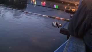 селедка рыбалка бруклин на канале herring fishing brooklyn