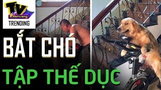 Uống say rồi để chó cưng đạp xe tập thể dục, ông bố khiến ai cũnng bất ngờ