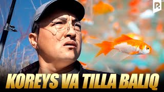 Qalpoq - Koreys va tilla baliq