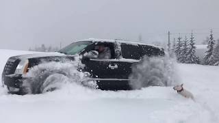 Cadillac Escalade по целине