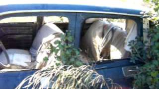 Urban Recyclers find abandoned car