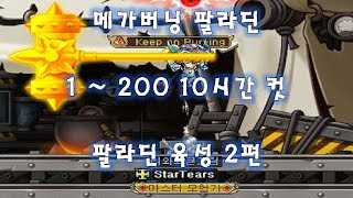 [메이플 유니온] 메가버닝 팔라딘 육성 2편