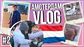 AMSTERDAM || МЫ СДЕЛАЛИ ТАТУ? Зоопарк!