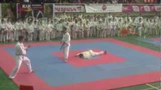 karate wskf