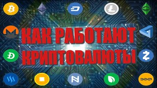 Как работают КРИПТОВАЛЮТЫ? С чего начать новичку и не только. Как приобрести и не потерять?